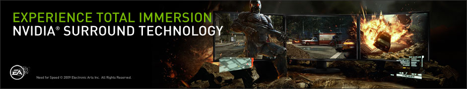 NVIDIA 3D Vision Surround NVIDIA 3D Vision Surround