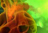 WMFG_2_QUADRO_FERMI
