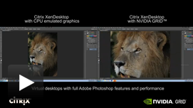 Photoshop Video: GPU Pass-through with Citrix XenDesktop 