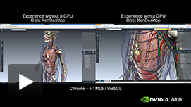 WebGL Video: GPU Pass-through with Citrix XenDesktop