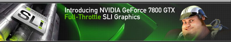Flash Banner