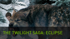 The Twilight Saga Eclipse