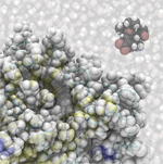 Tamiflu approaches the active site of the flu enzyme neuraminidase Tamiflu approaches the active site of the flu enzyme neuraminidase