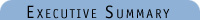 Executive Summary