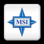MSI