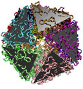 Icosahedral layout of the STMV capsid